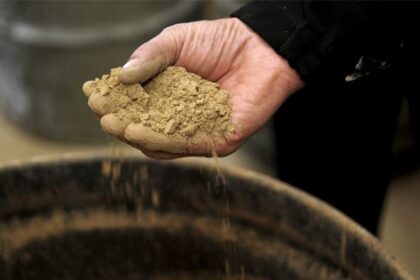 Plusmining mano sosteniendo tierra
