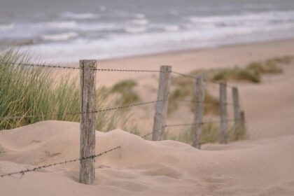 Plusmining-prensa-no-a-dominga-foto-playa